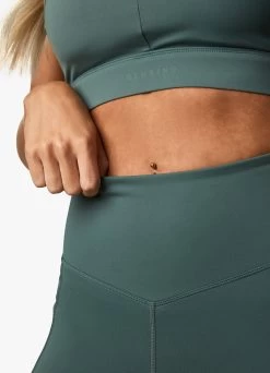 Gym King Incline Legging - Willow Green -Fit Wear Shop INCLINEBRA LEGGING WILLOWGREENWBT A2B11WLG A2A3A241