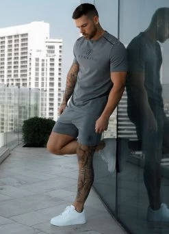 Gym King Pro Logo Tee V2 - Fossil Grey -Fit Wear Shop prov9